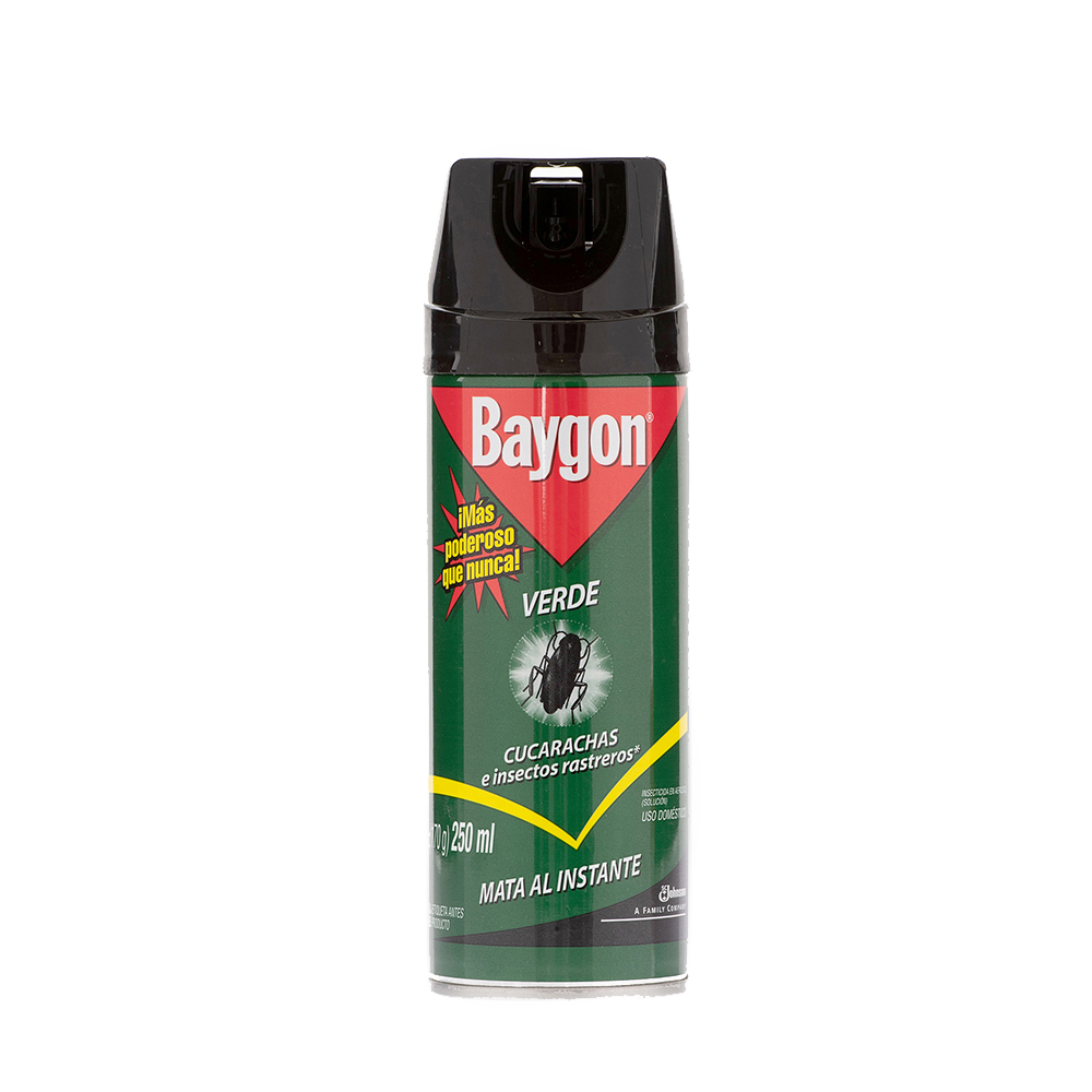 Insecticida Para Insectos Rastreros Baygon250 ML