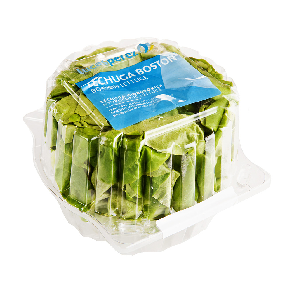 Lechuga BostonPAQ