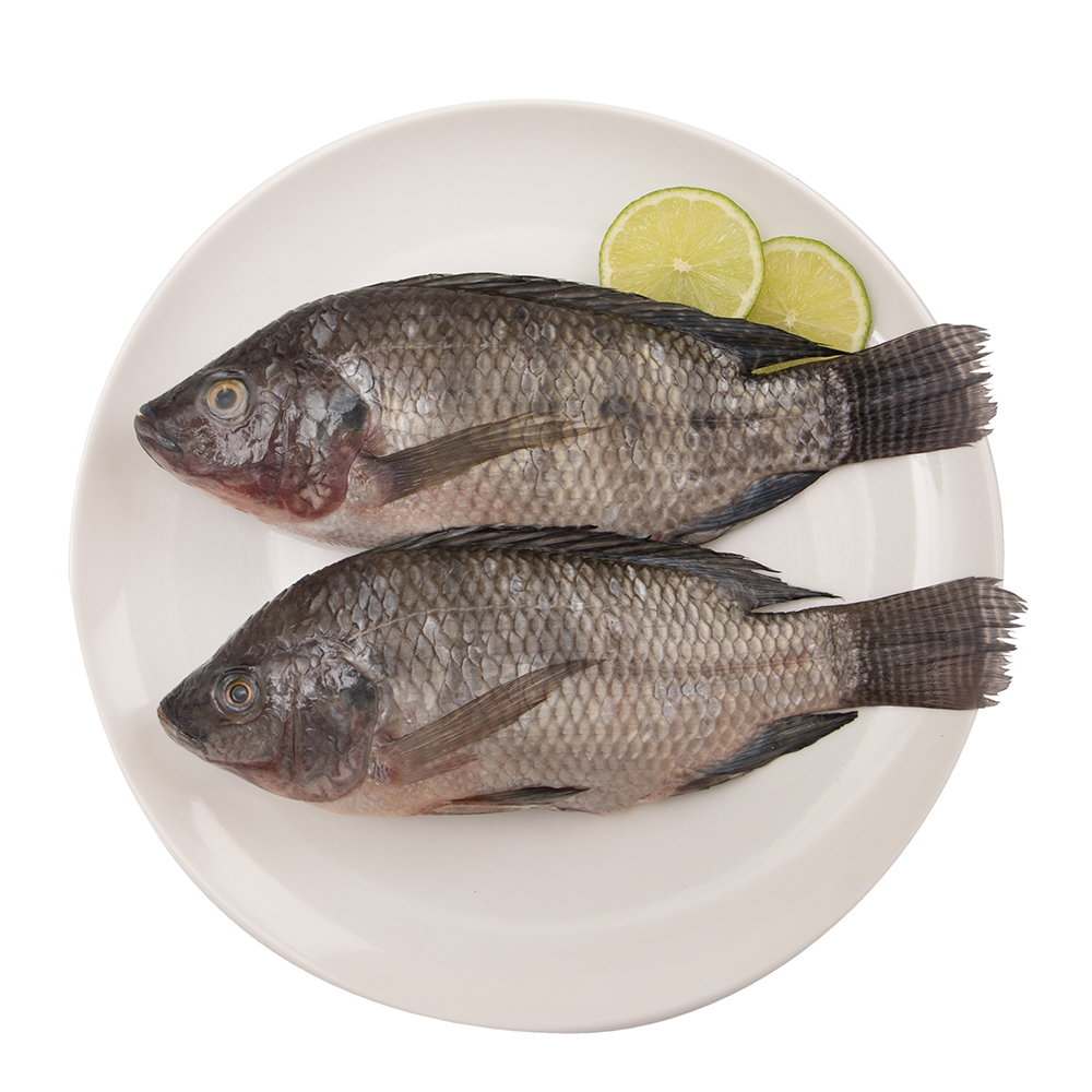 Tilapia Gris Fresca,LB