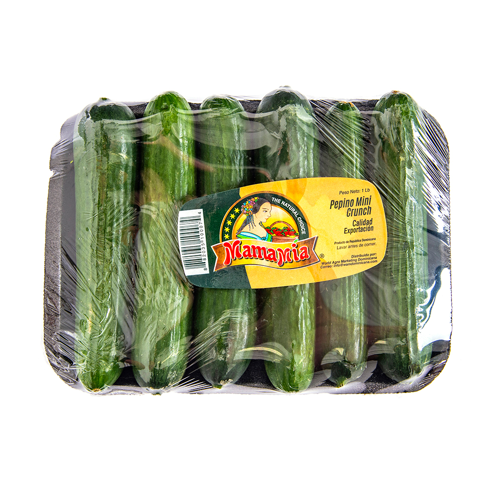 Pepino Mini Crunch6 UND