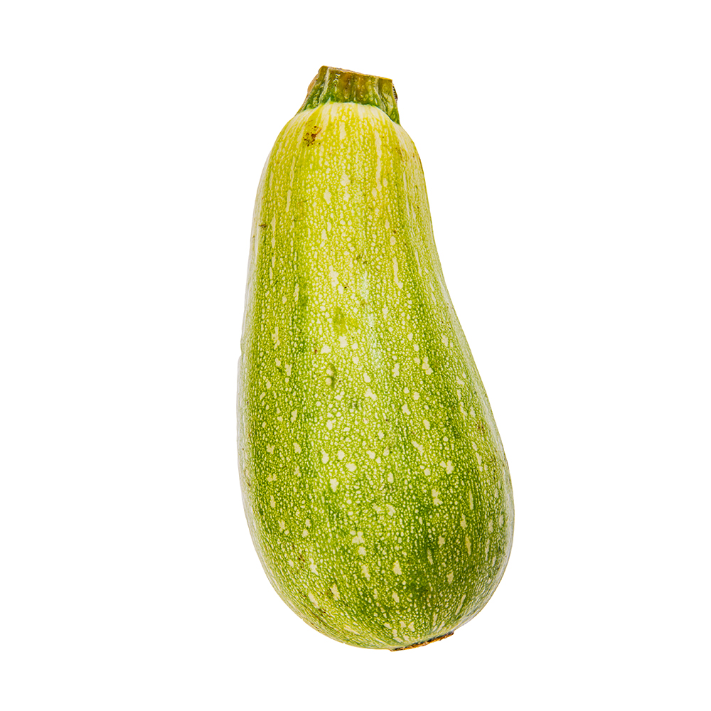 Zucchini CalabacinPAQ