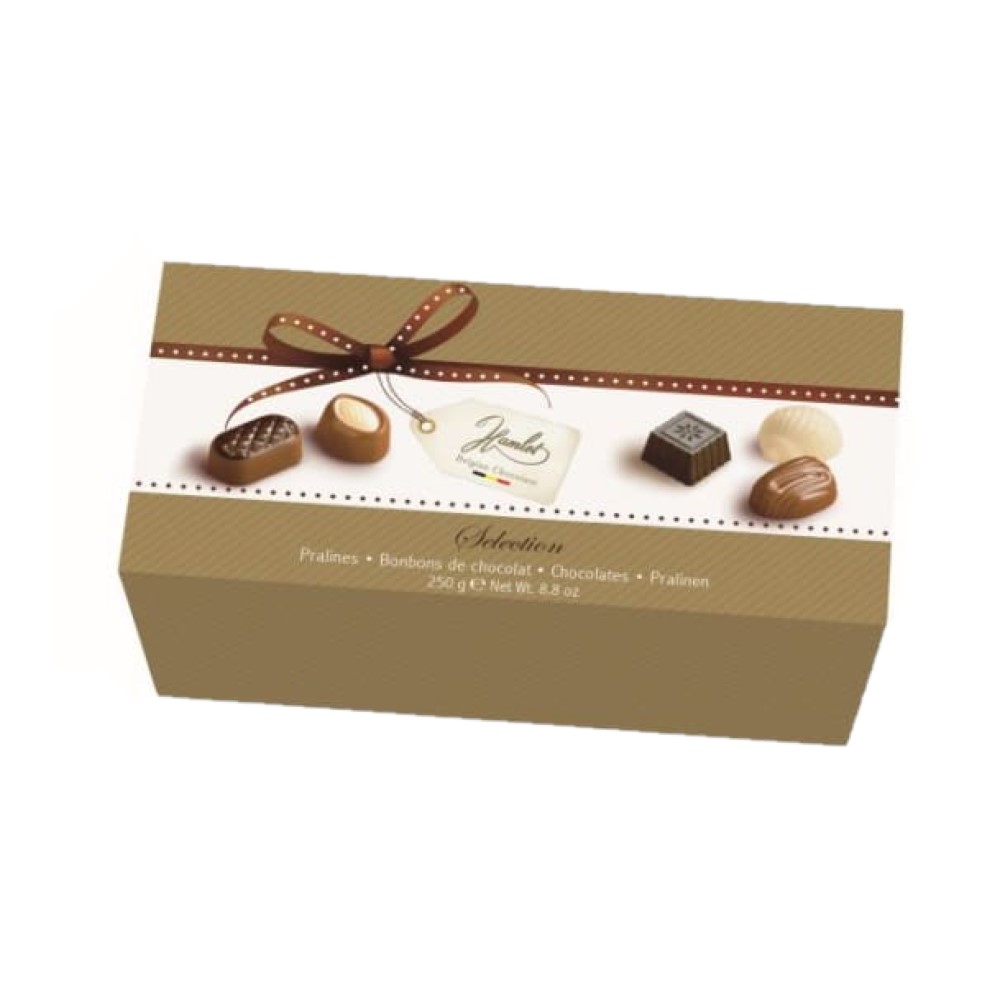 Caja De Chocolates Surtidos Selection Hamlet250 GR