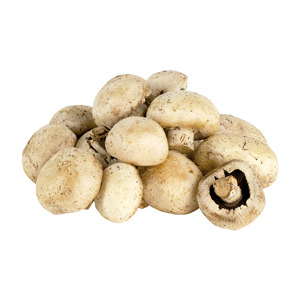 Hongo Blanco ChampiñonesLB