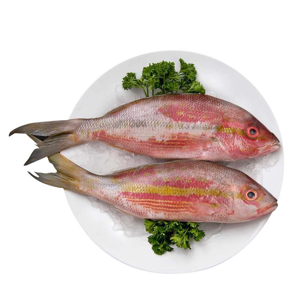 Colirrubia Importada,LB