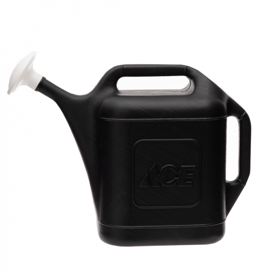 Regadera Plástica Gl Ace 7198278 Jumbo